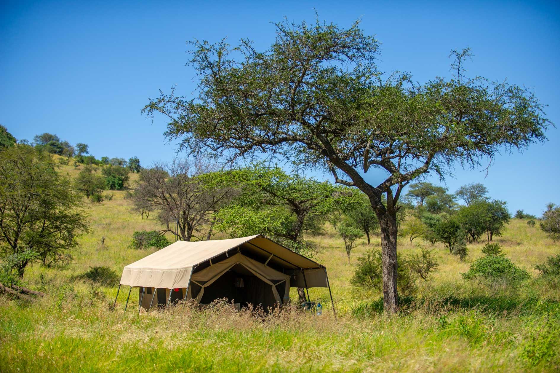 Serengeti Kati Kati Tented Camp thumbnail 4